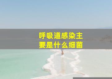 呼吸道感染主要是什么细菌