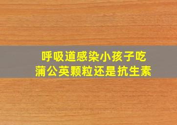 呼吸道感染小孩子吃蒲公英颗粒还是抗生素