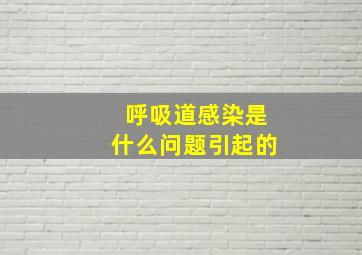 呼吸道感染是什么问题引起的