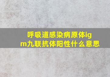 呼吸道感染病原体igm九联抗体阳性什么意思