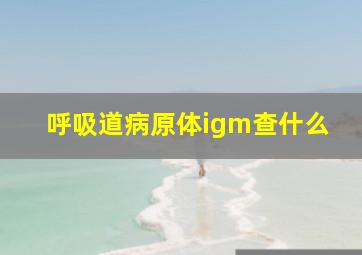 呼吸道病原体igm查什么