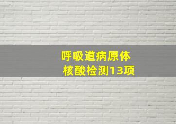 呼吸道病原体核酸检测13项