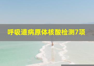 呼吸道病原体核酸检测7项