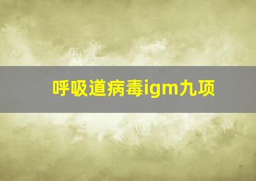 呼吸道病毒igm九项