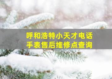 呼和浩特小天才电话手表售后维修点查询