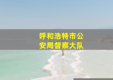 呼和浩特市公安局督察大队