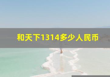 和天下1314多少人民币