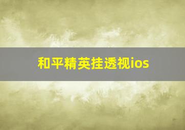 和平精英挂透视ios