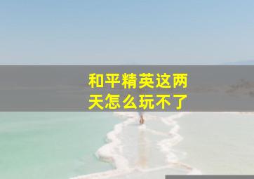 和平精英这两天怎么玩不了