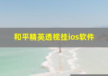 和平精英透视挂ios软件