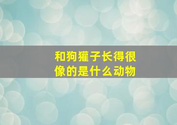 和狗獾子长得很像的是什么动物