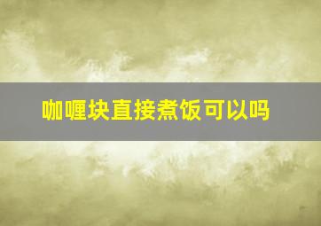 咖喱块直接煮饭可以吗