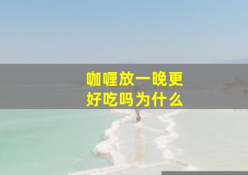 咖喱放一晚更好吃吗为什么