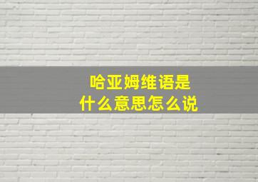 哈亚姆维语是什么意思怎么说