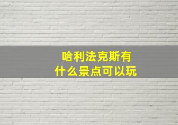 哈利法克斯有什么景点可以玩