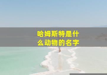 哈姆斯特是什么动物的名字