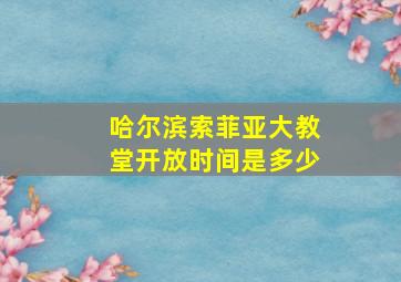 哈尔滨索菲亚大教堂开放时间是多少