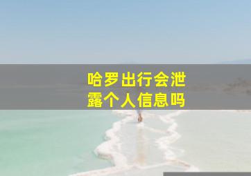 哈罗出行会泄露个人信息吗