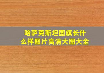 哈萨克斯坦国旗长什么样图片高清大图大全