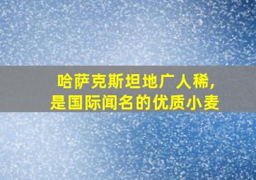 哈萨克斯坦地广人稀,是国际闻名的优质小麦