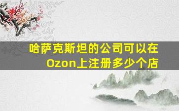 哈萨克斯坦的公司可以在Ozon上注册多少个店