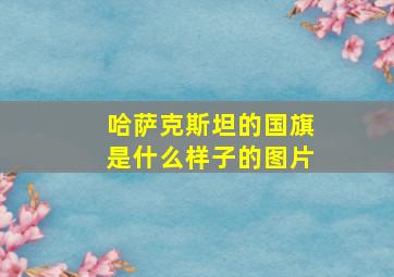 哈萨克斯坦的国旗是什么样子的图片