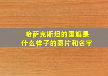 哈萨克斯坦的国旗是什么样子的图片和名字