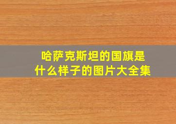 哈萨克斯坦的国旗是什么样子的图片大全集