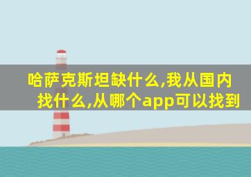 哈萨克斯坦缺什么,我从国内找什么,从哪个app可以找到