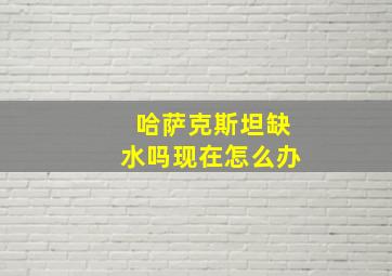 哈萨克斯坦缺水吗现在怎么办