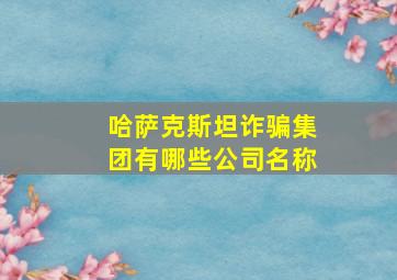 哈萨克斯坦诈骗集团有哪些公司名称