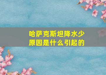 哈萨克斯坦降水少原因是什么引起的