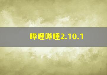 哔哩哔哩2.10.1