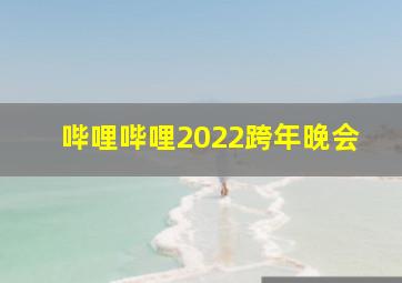 哔哩哔哩2022跨年晚会