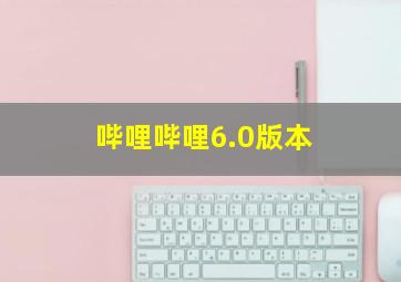 哔哩哔哩6.0版本