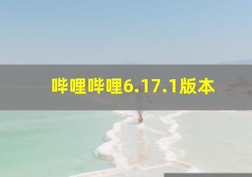 哔哩哔哩6.17.1版本