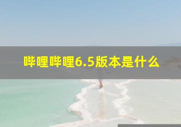 哔哩哔哩6.5版本是什么