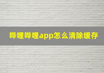 哔哩哔哩app怎么清除缓存