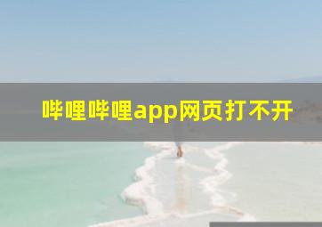 哔哩哔哩app网页打不开