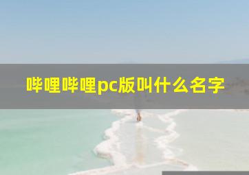 哔哩哔哩pc版叫什么名字