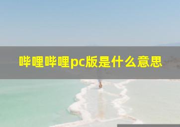 哔哩哔哩pc版是什么意思