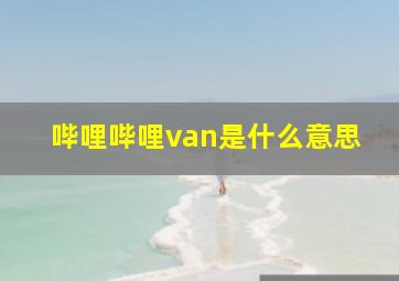 哔哩哔哩van是什么意思