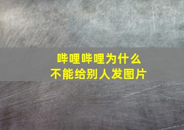 哔哩哔哩为什么不能给别人发图片