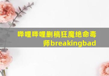 哔哩哔哩删稿狂魔绝命毒师breakingbad