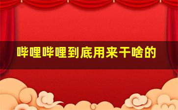 哔哩哔哩到底用来干啥的