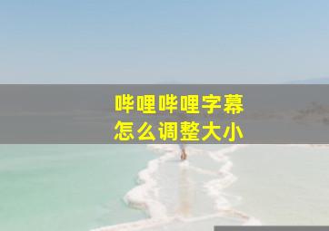 哔哩哔哩字幕怎么调整大小