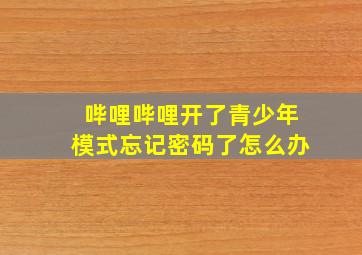 哔哩哔哩开了青少年模式忘记密码了怎么办