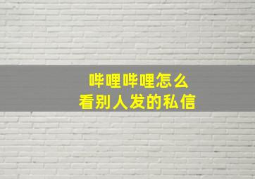 哔哩哔哩怎么看别人发的私信