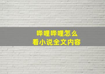 哔哩哔哩怎么看小说全文内容