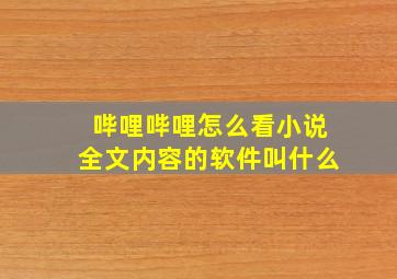 哔哩哔哩怎么看小说全文内容的软件叫什么